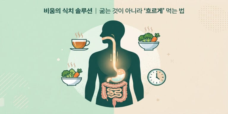 비움의 식치 솔루션 | 굶는 것이 아니라 ‘흐르게’ 먹는 법